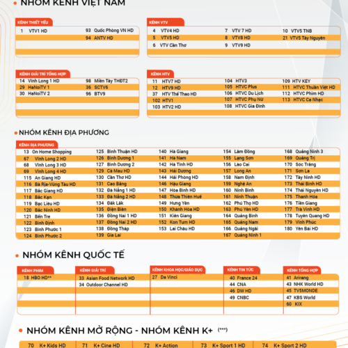 danh sách tất cả các kênh khi khách hàng đăng ký gói dịch vụ truyền hình VIP của FPT Play